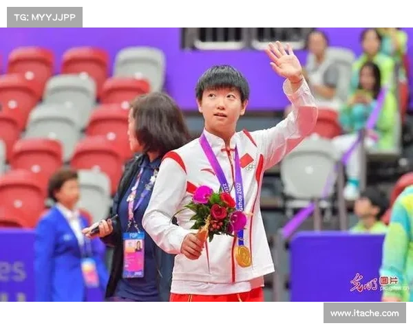 2017乒乒球赛事,2017乒乓球冠军 2017乒乒球赛事,2017乒乓球冠军