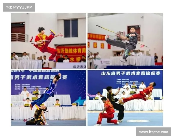 2020年山东省武术套路锦标赛