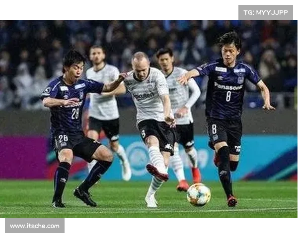 2021年j1联赛(2019年J联赛赛季回顾 横滨水手夺冠征程与精彩赛事全记录)