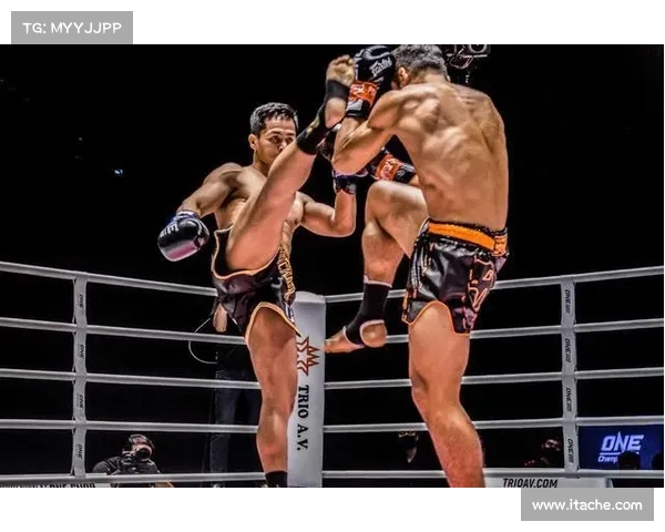 苏波邦最新消息